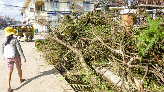 Trees criss-crossed across all the roads and had to be moved quickly to make way for the Borongan traffic.