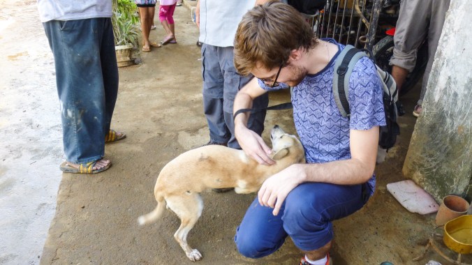 Saying goodbye to our pet Rora was one of the most difficult goodbyes. I heard recently that she's about to give birth to puppies!